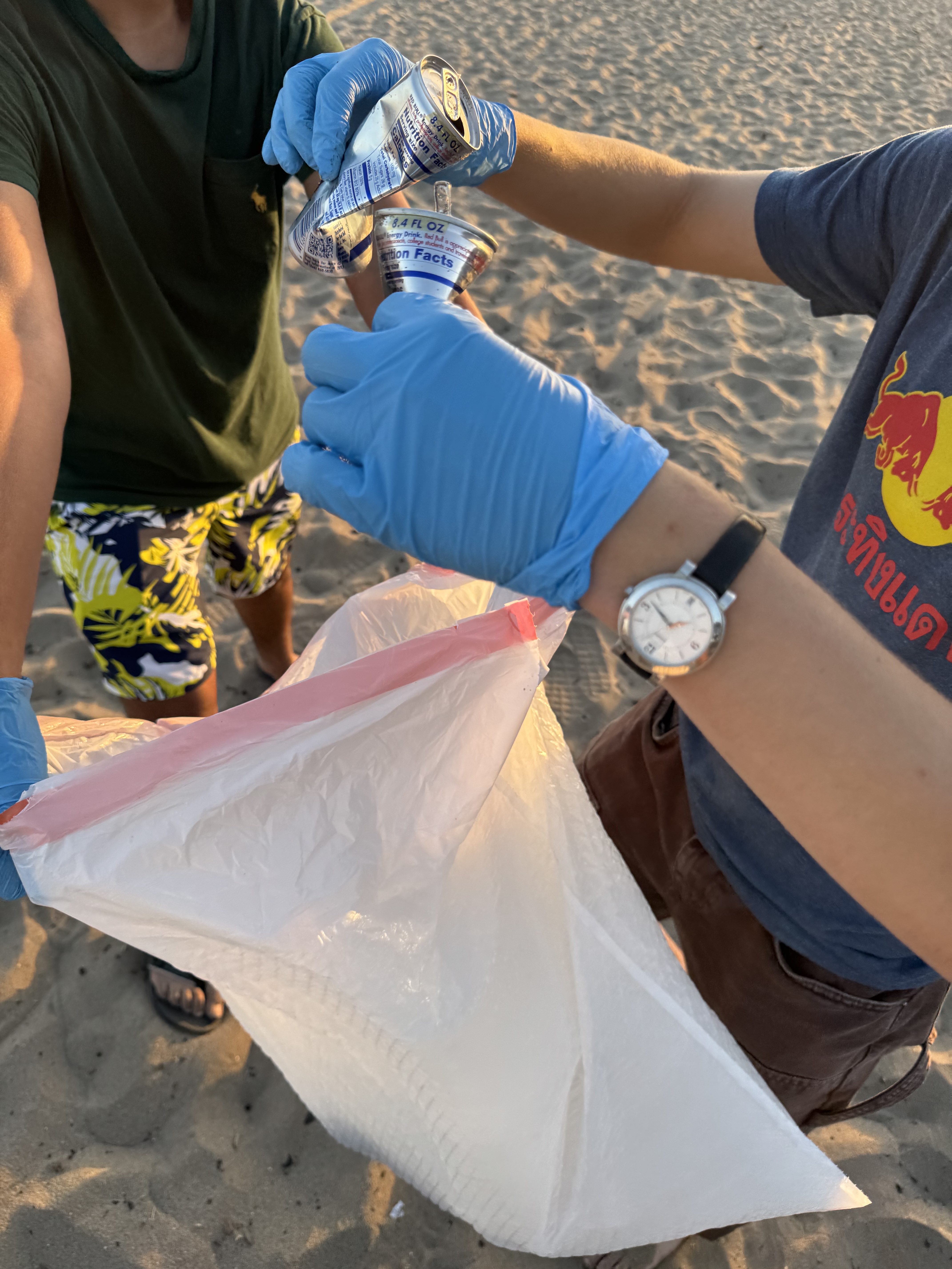 Beach Clean-Up 4